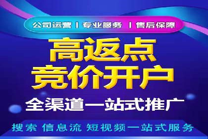 百度竞价广告投放策略：案例分析及优化建议